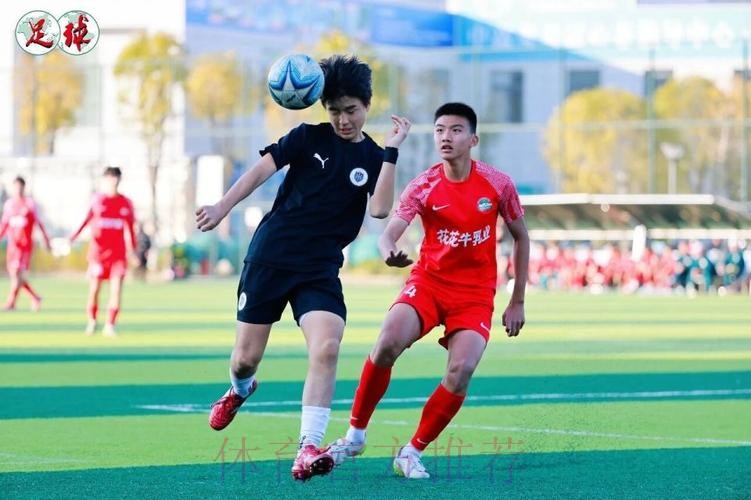 韩国“国脚摇篮”的转型阵痛!K联赛新军龙仁FC,机遇挑战并存 韩国“国脚摇篮”的转型阵痛!K联赛新军龙仁FC,机遇挑战并存